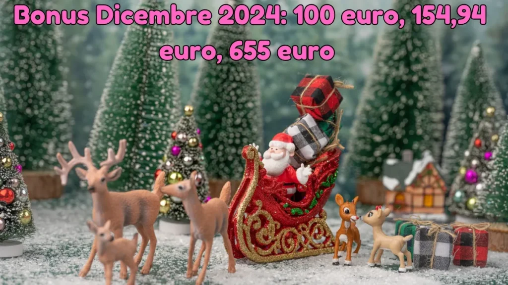 Bonus Dicembre 2024: 100 euro, 200 euro, 154,94 euro, 655 euro