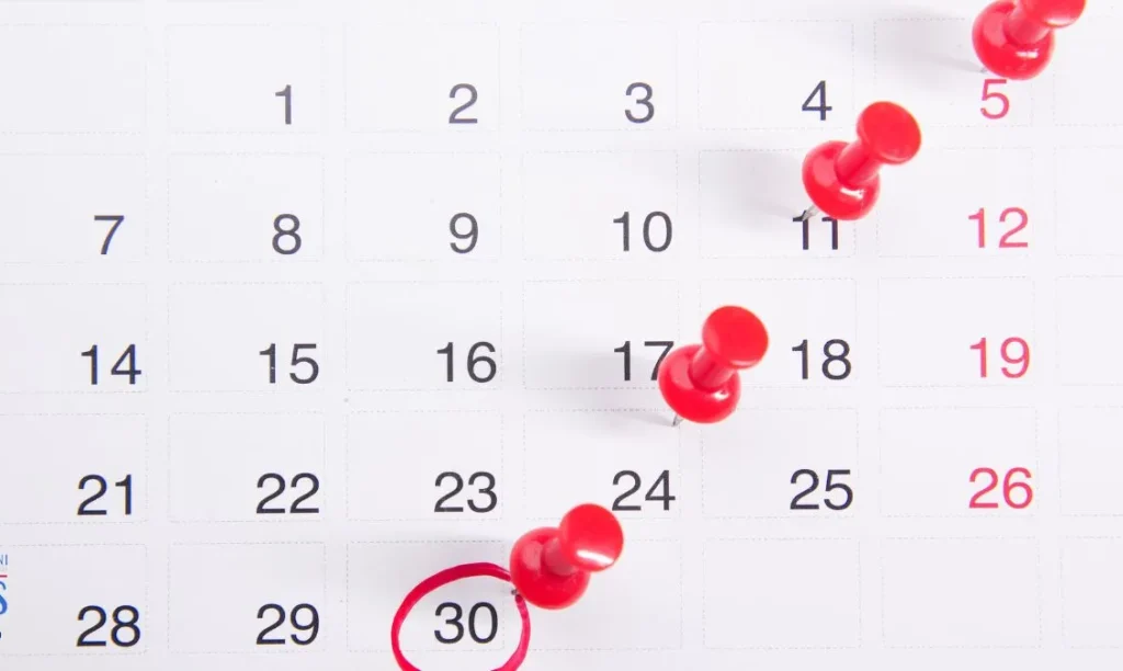 Bonus Famiglie Dicembre 2025: Ecco tutti i Bonus da 155 euro, 480 euro, 500 euro, 655 euro